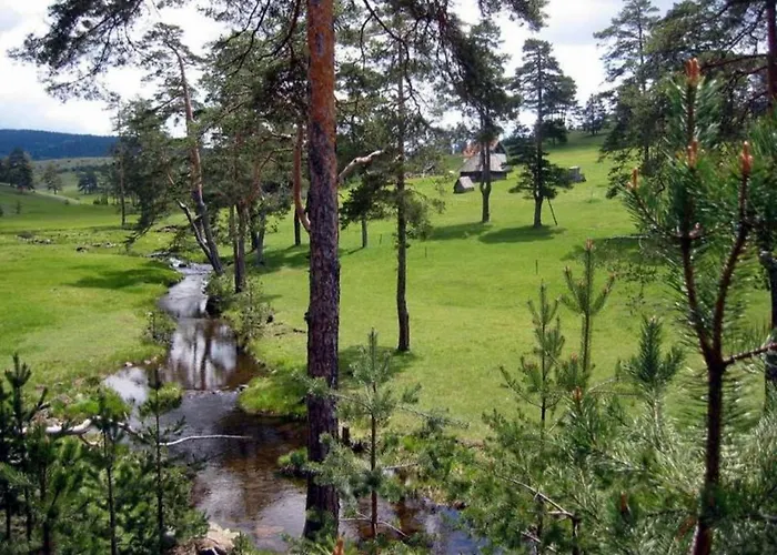 Apartmán Apartmani Zlatibor *