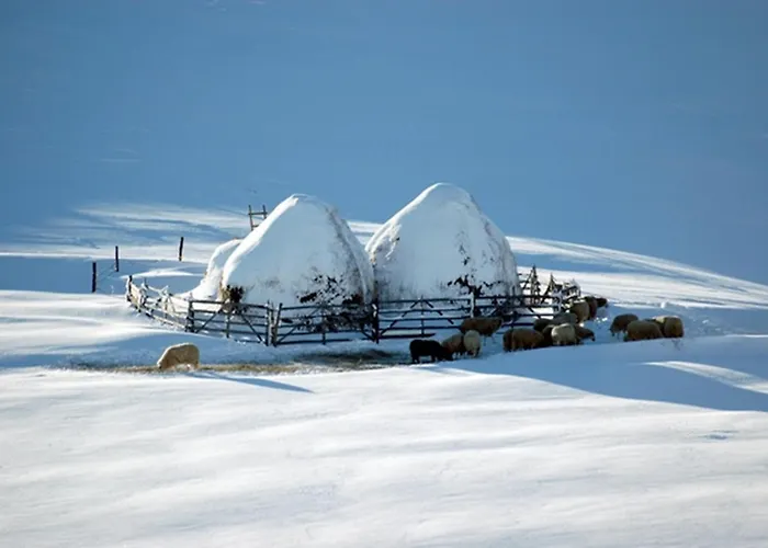 Apartmani Zlatibor Apartmán Zlatibor