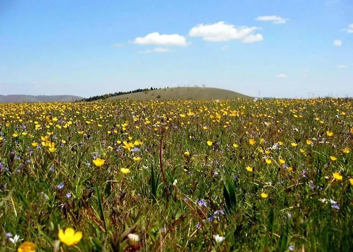 Apartmani Zlatibor Apartmán Zlatibor